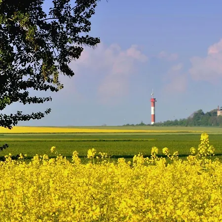 Marienleuchte Meerlust *
