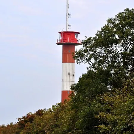 Marienleuchte Meerlust *