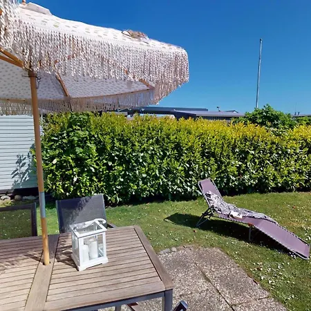 Marienleuchte Meerlust *